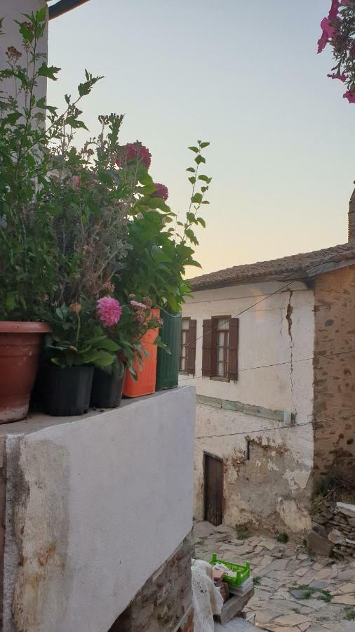 Sirin Ev Pansiyon Selçuk Esterno foto